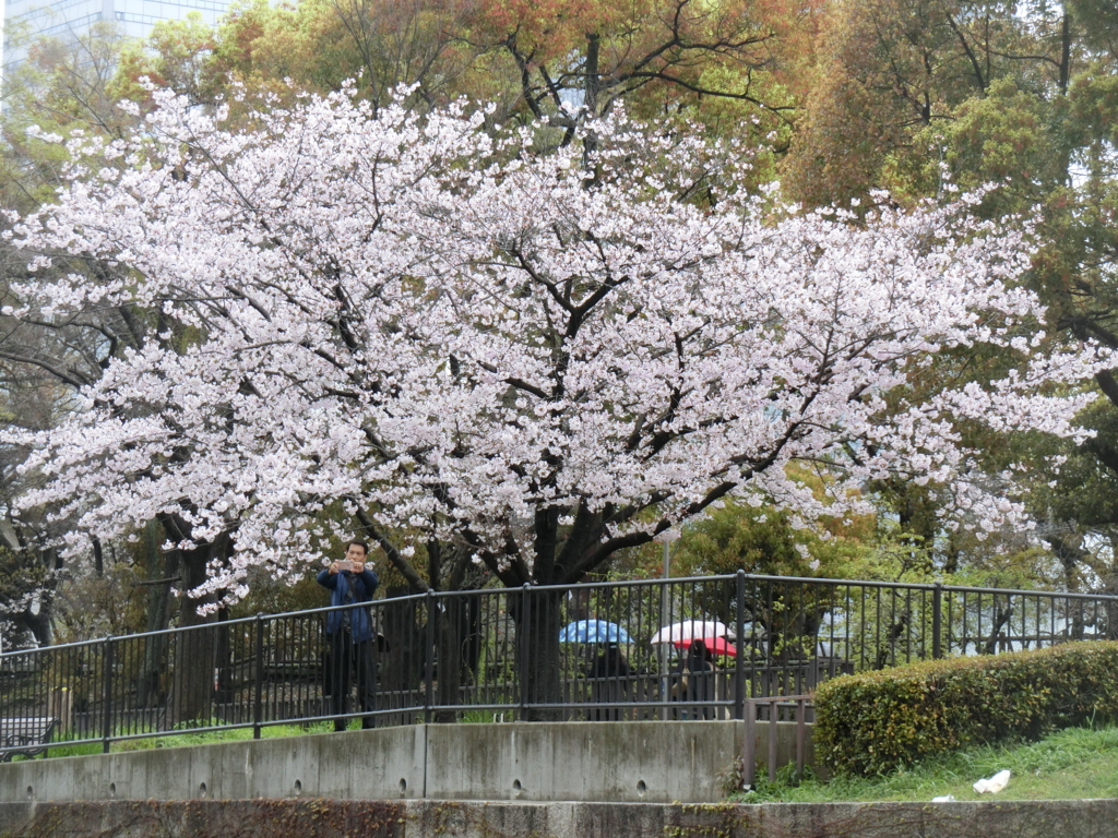 f:id:ROUTE53:20160405105711j:plain