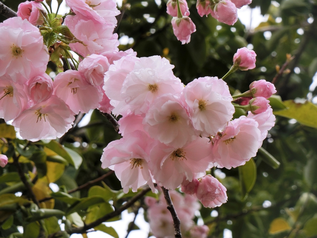 f:id:ROUTE53:20160405105815j:plain