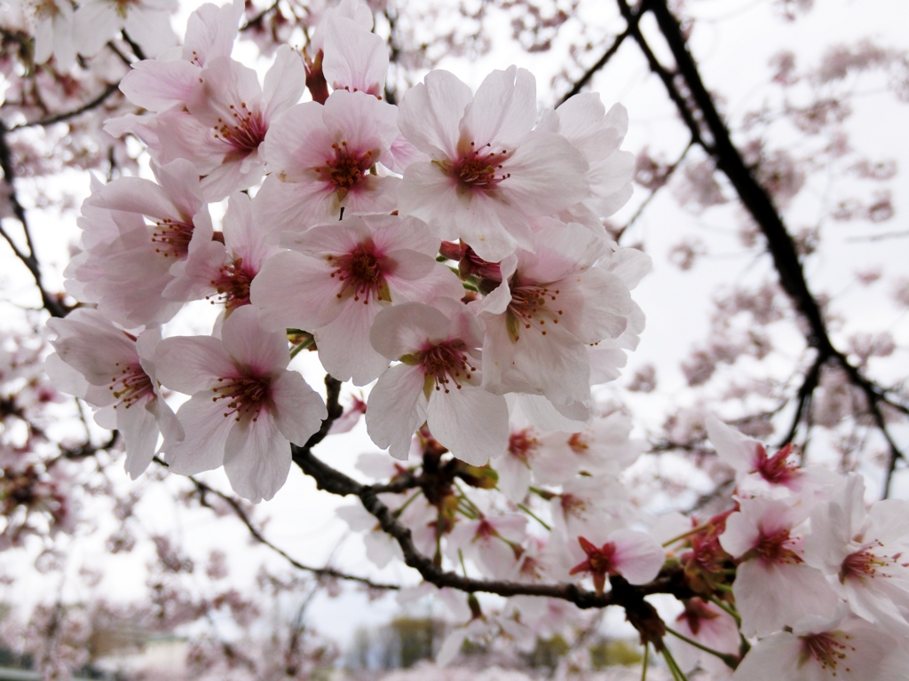 f:id:ROUTE53:20160405130035j:plain