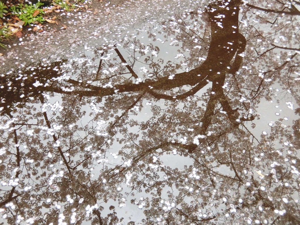 f:id:ROUTE53:20160405130257j:plain