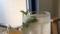 20170613201641