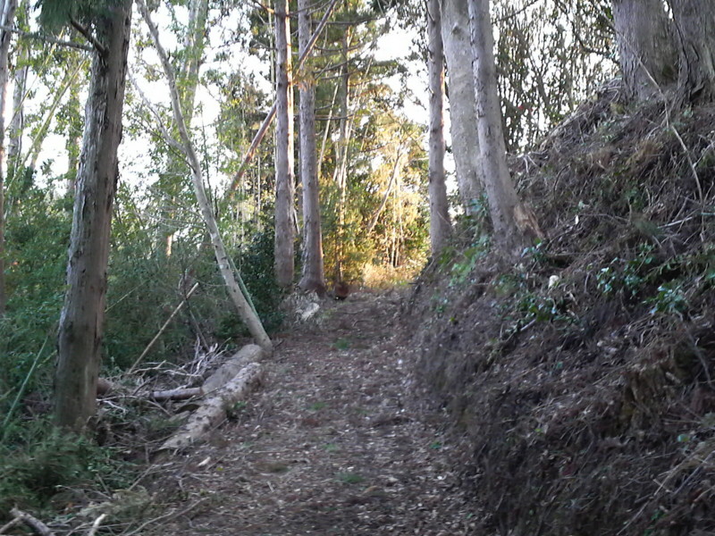 f:id:RRD:20090331185219j:image f:id:RRD:20090331185219j:image