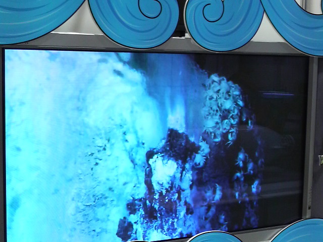 f:id:RRD:20090615225546j:image f:id:RRD:20090615225546j:image