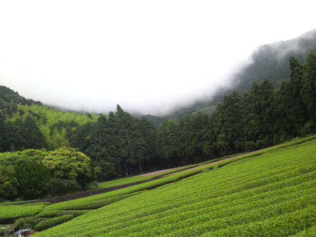 f:id:RRD:20090624234722j:image f:id:RRD:20090624234722j:image