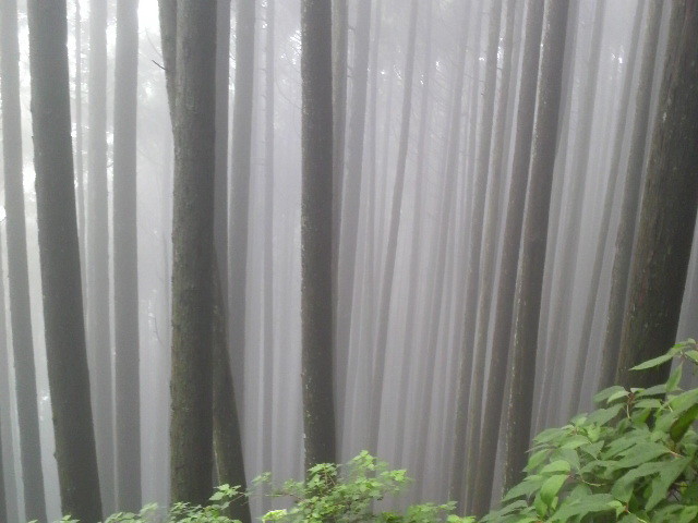 f:id:RRD:20090625000033j:image f:id:RRD:20090625000033j:image