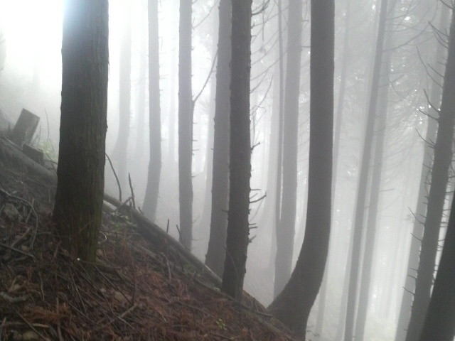 f:id:RRD:20090625000622j:image f:id:RRD:20090625000622j:image