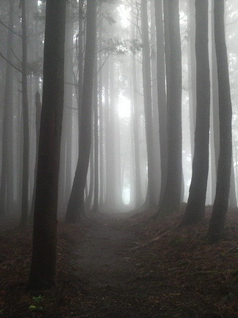 f:id:RRD:20090625000740j:image f:id:RRD:20090625000740j:image