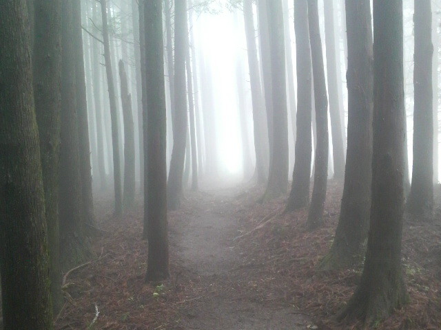 f:id:RRD:20090625000747j:image f:id:RRD:20090625000747j:image