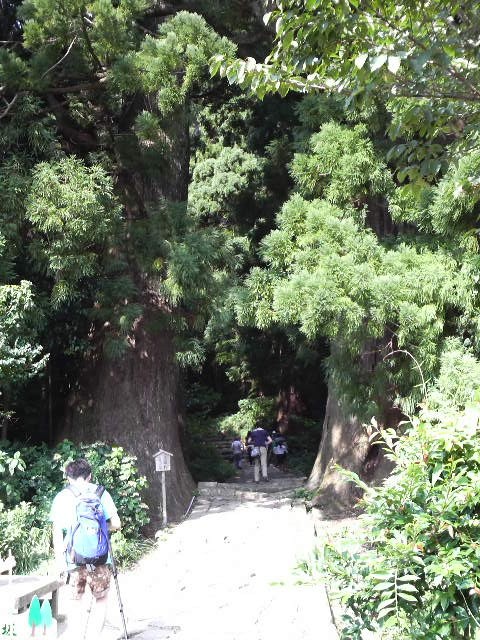 f:id:RRD:20090824155816j:image f:id:RRD:20090824155816j:image