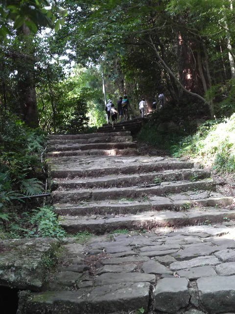 f:id:RRD:20090824155934j:image f:id:RRD:20090824155934j:image