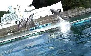 f:id:RRD:20090824162506j:image f:id:RRD:20090824162506j:image