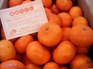 f:id:RRD:20091208210620j:image