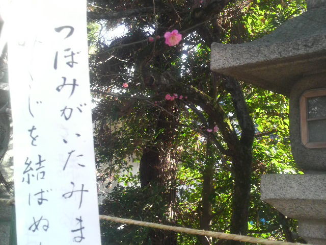 f:id:RRD:20100109210012j:image f:id:RRD:20100109210012j:image