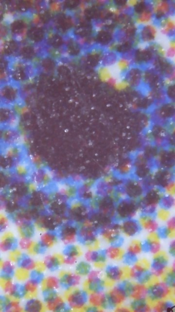 f:id:RRTOTO:20230114162131j:image