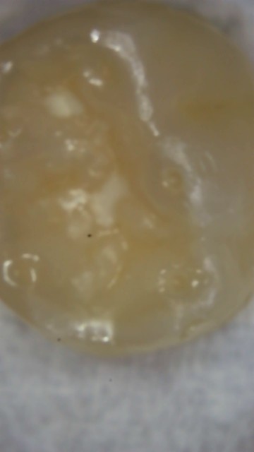 f:id:RRTOTO:20230121004103j:image
