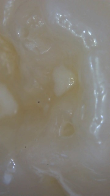 f:id:RRTOTO:20230121004139j:image
