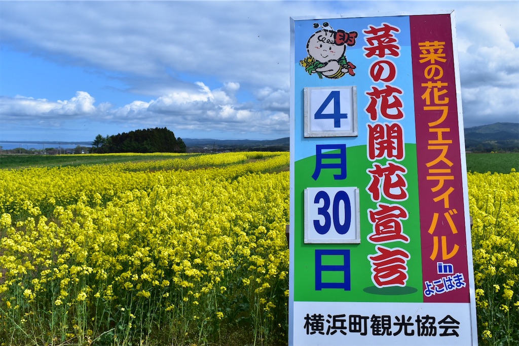 f:id:RSSHAKE:20210515125520j:image f:id:RSSHAKE:20210515125520j:image