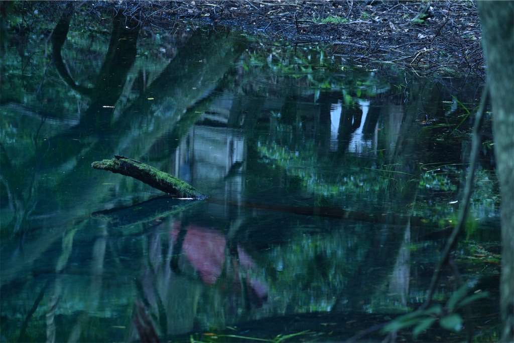 f:id:RSSHAKE:20210712103830j:image f:id:RSSHAKE:20210712103830j:image