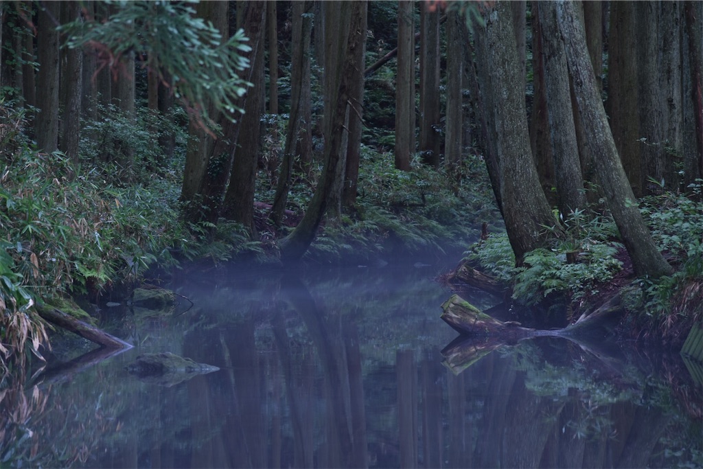 f:id:RSSHAKE:20210712103837j:image f:id:RSSHAKE:20210712103837j:image