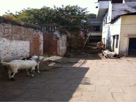 f:id:RUMI:20110219191350j:image