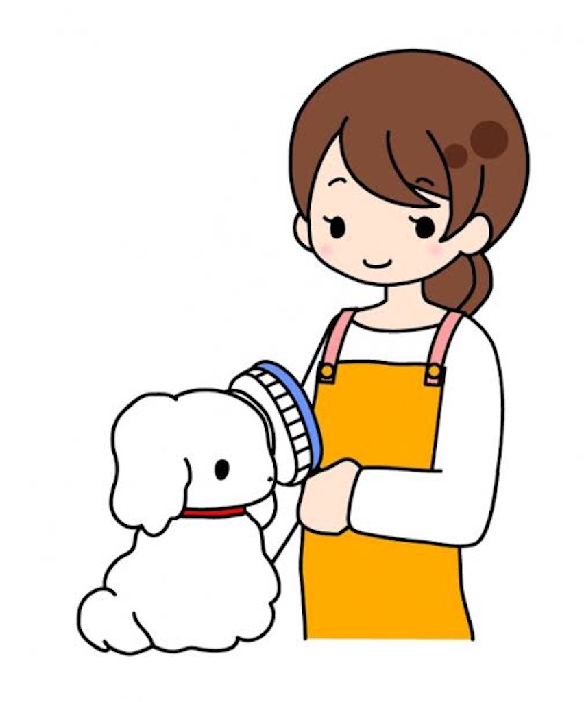 f:id:RUNA930363511:20201211144301j:image f:id:RUNA930363511:20201211144301j:image