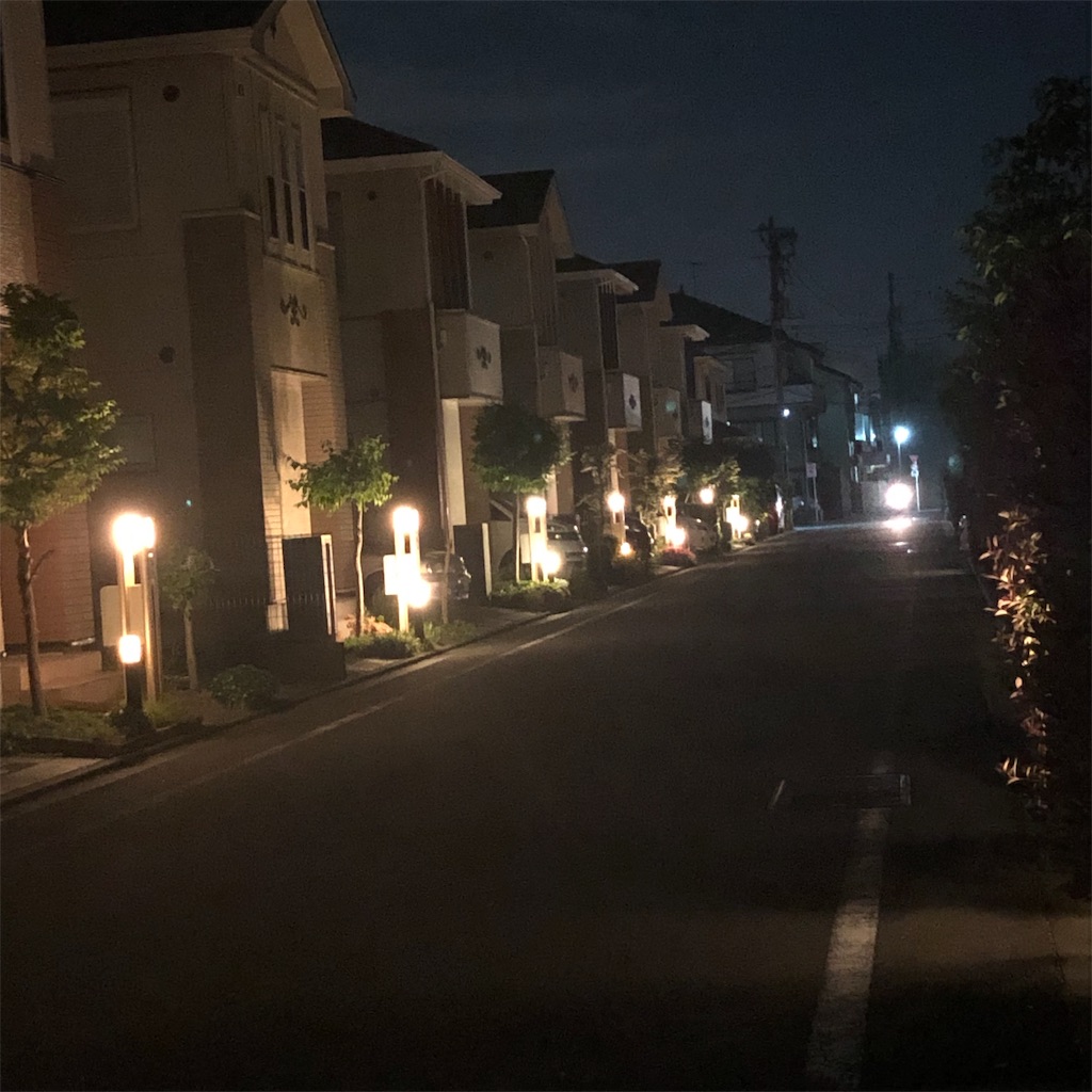 f:id:RURU1234:20190520235644j:image f:id:RURU1234:20190520235644j:image