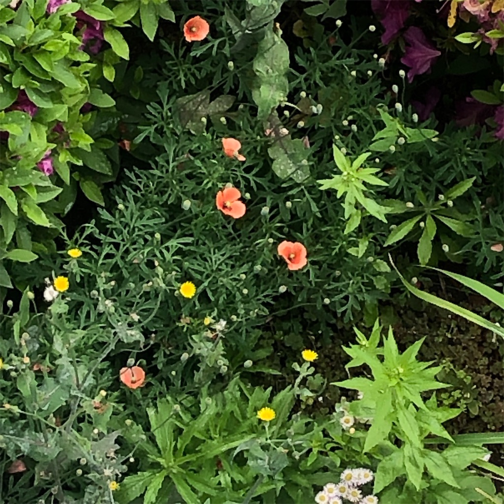 f:id:RURU1234:20190521000006j:image f:id:RURU1234:20190521000006j:image