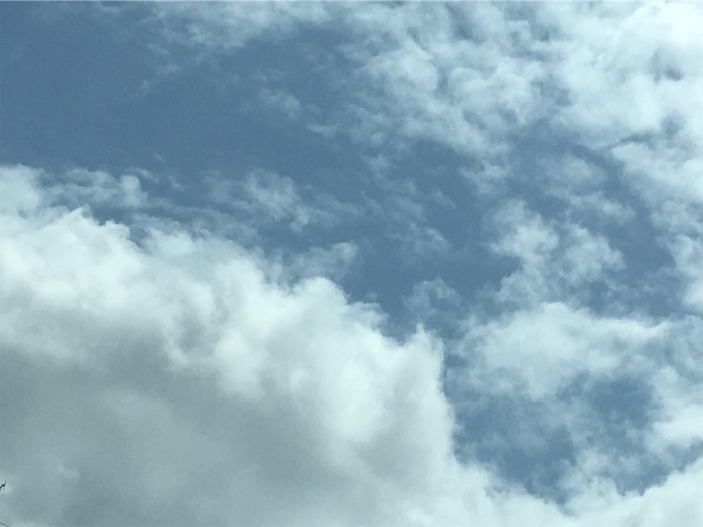 f:id:RURU1234:20190521000346j:image f:id:RURU1234:20190521000346j:image