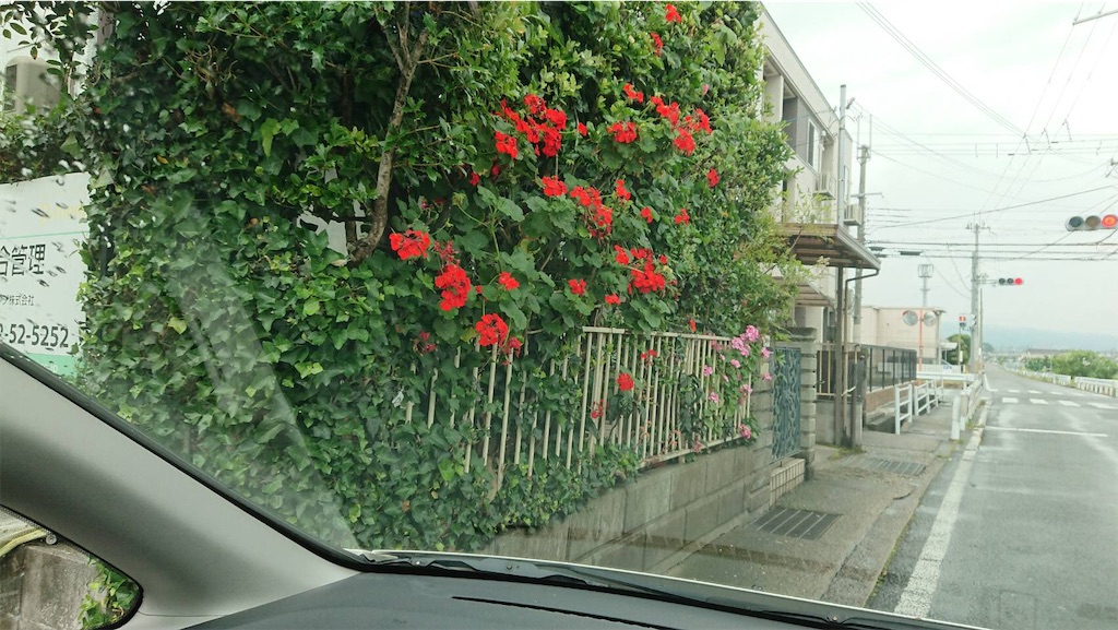 f:id:RURU1234:20190610215218j:image f:id:RURU1234:20190610215218j:image