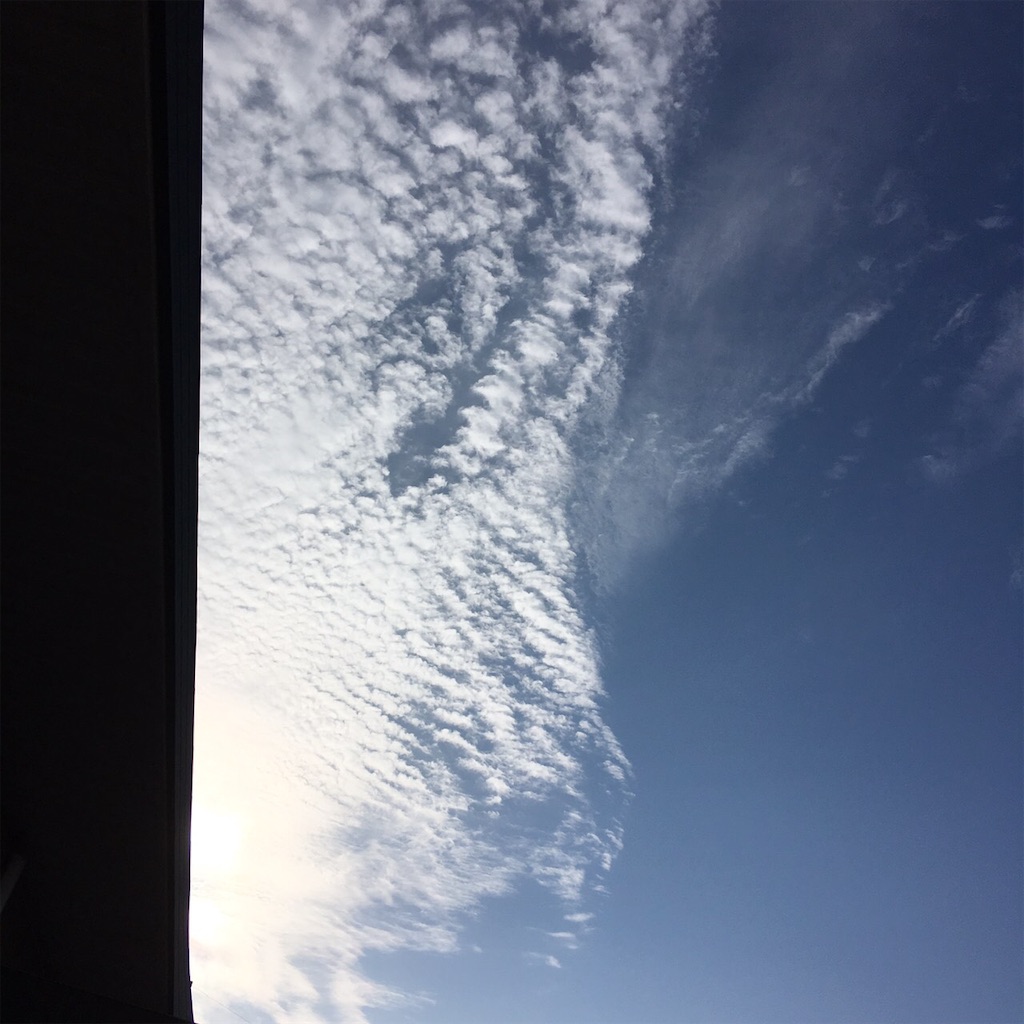 f:id:RURU1234:20190610215247j:image f:id:RURU1234:20190610215247j:image