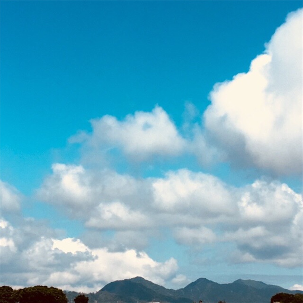 f:id:RURU1234:20190611233517j:image