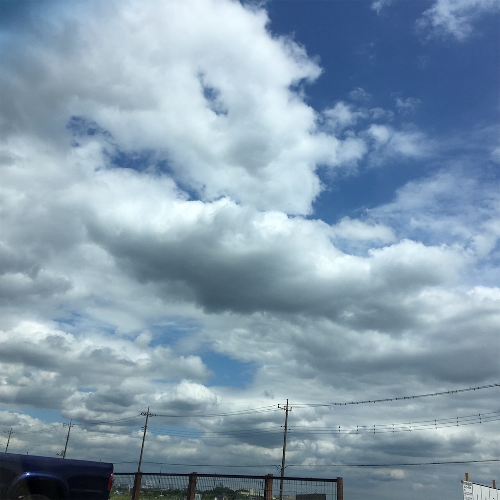 f:id:RURU1234:20190612233521j:image