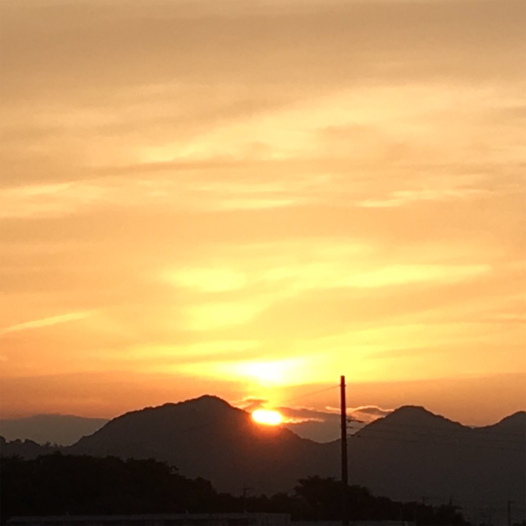 f:id:RURU1234:20190616050031j:image