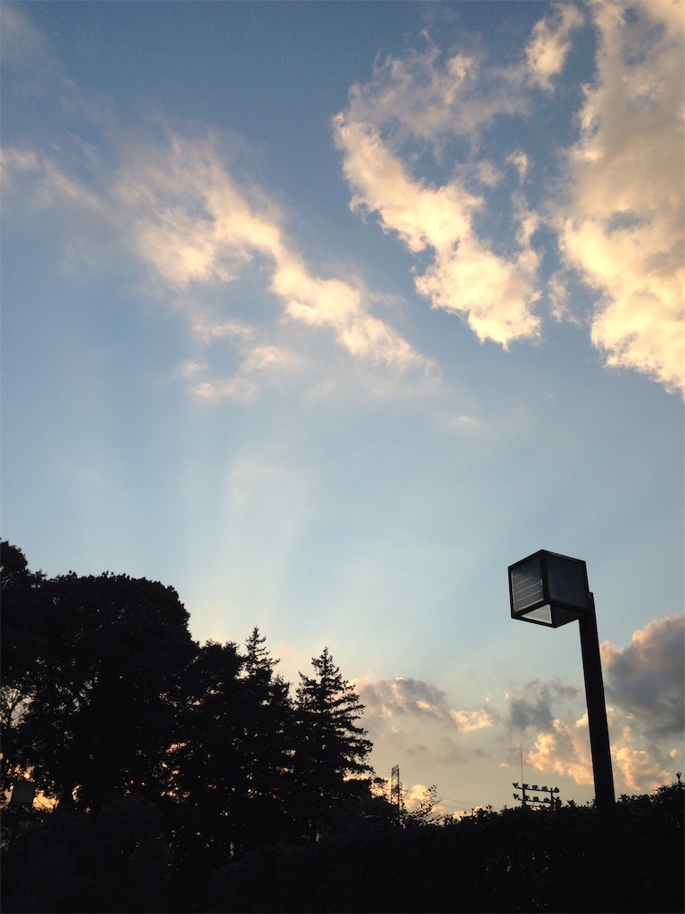 f:id:RURU1234:20190616050608j:image