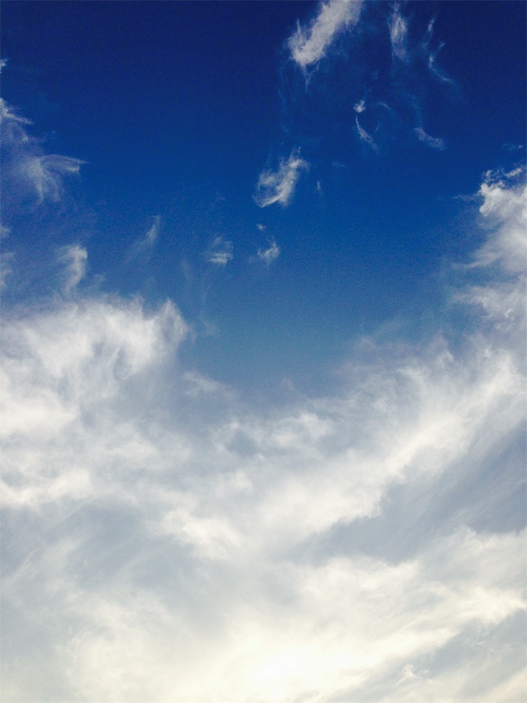 f:id:RURU1234:20190616050658j:image