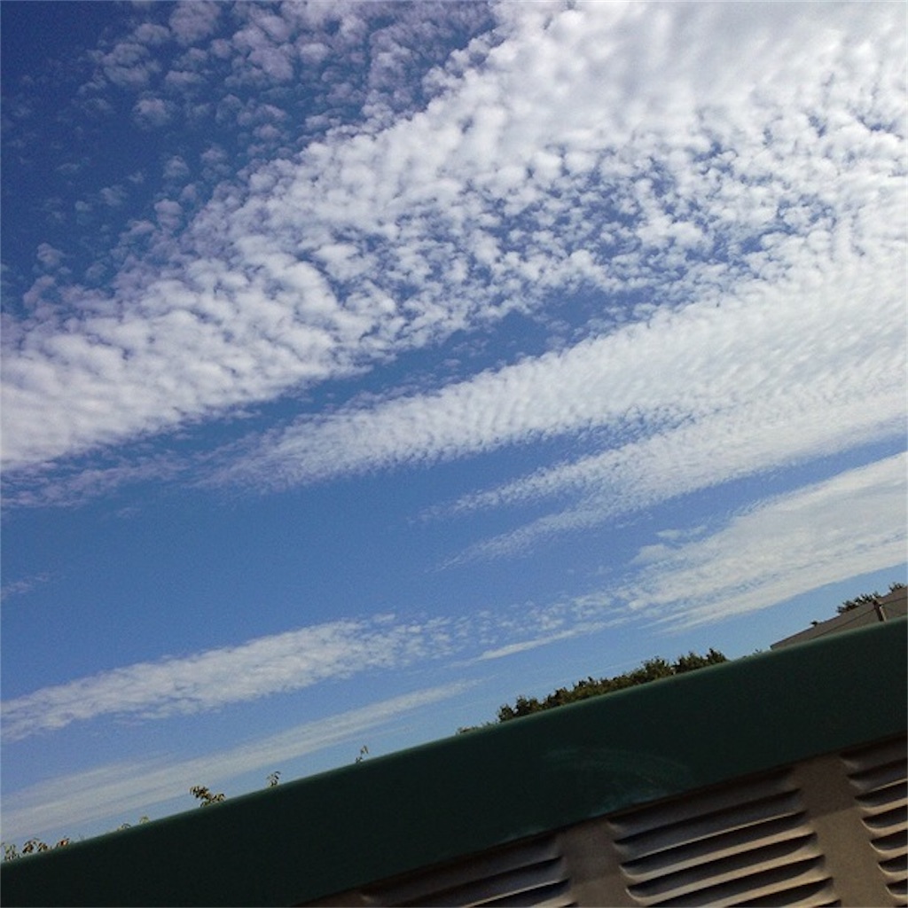 f:id:RURU1234:20190616050757j:image