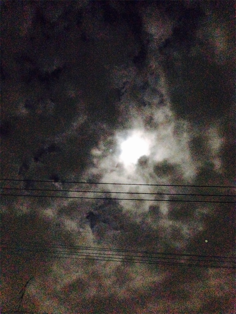 f:id:RURU1234:20190616051058j:image