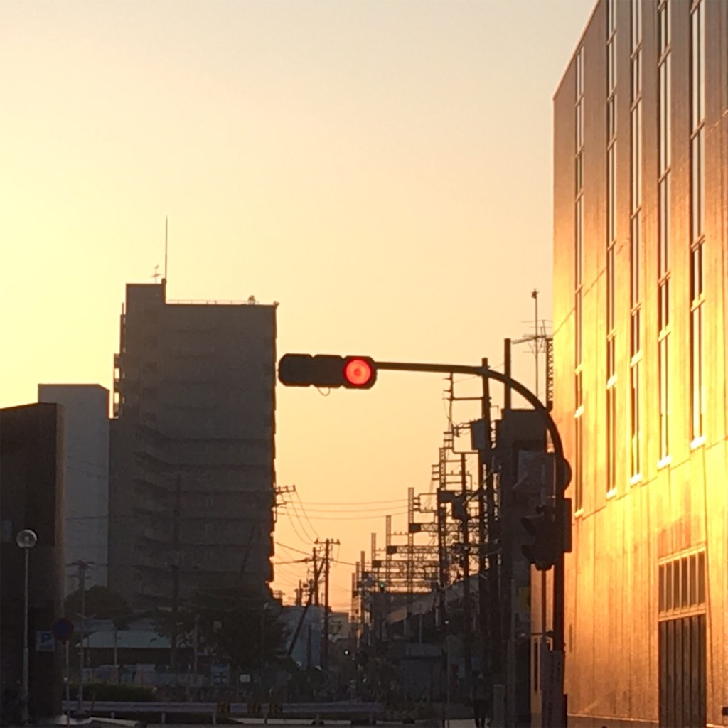 f:id:RURU1234:20190616051507j:image