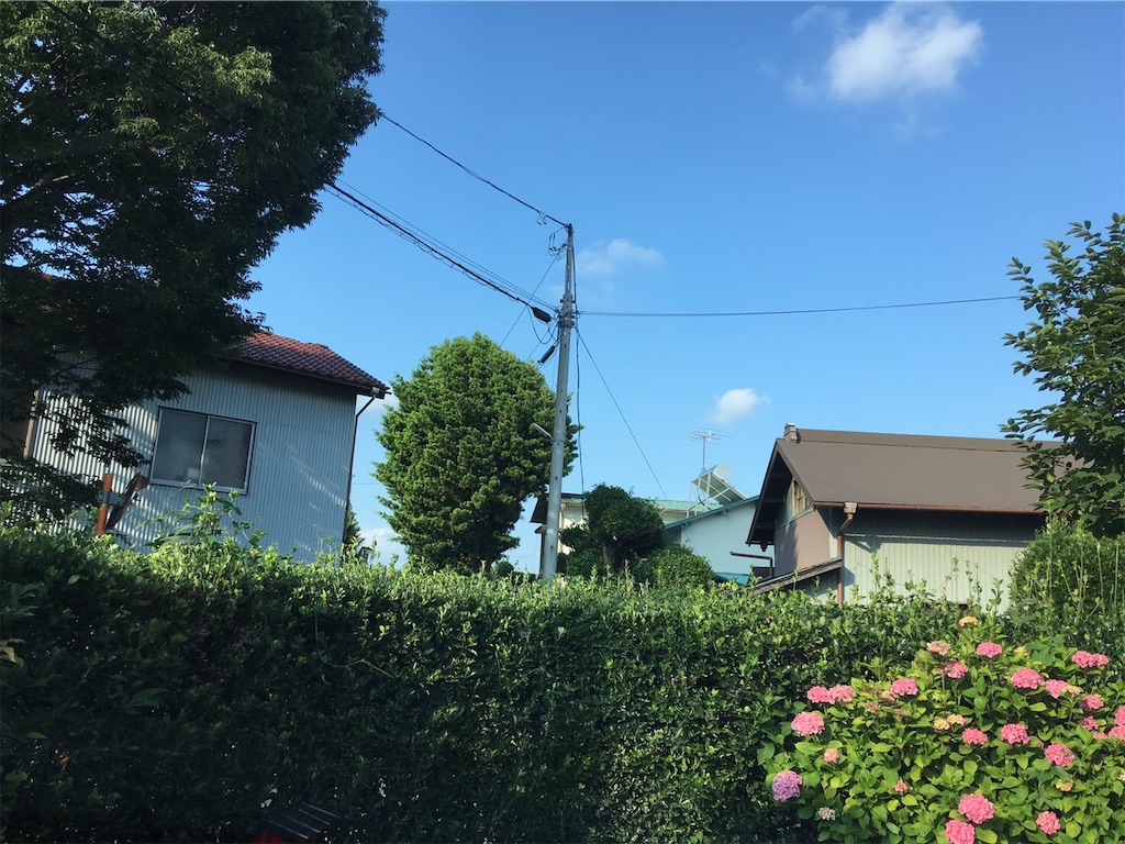 f:id:RURU1234:20190625184949j:image f:id:RURU1234:20190625184949j:image