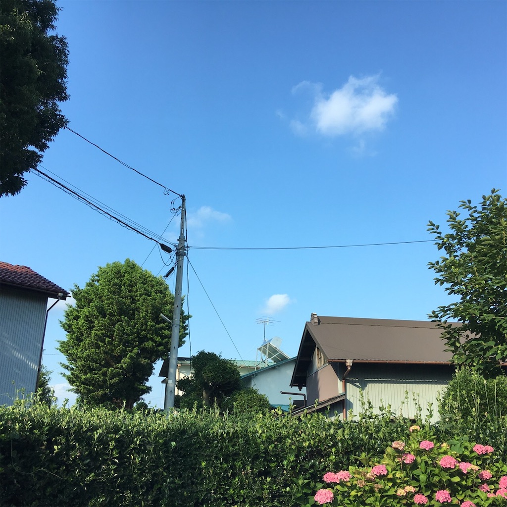 f:id:RURU1234:20190625185014j:image f:id:RURU1234:20190625185014j:image