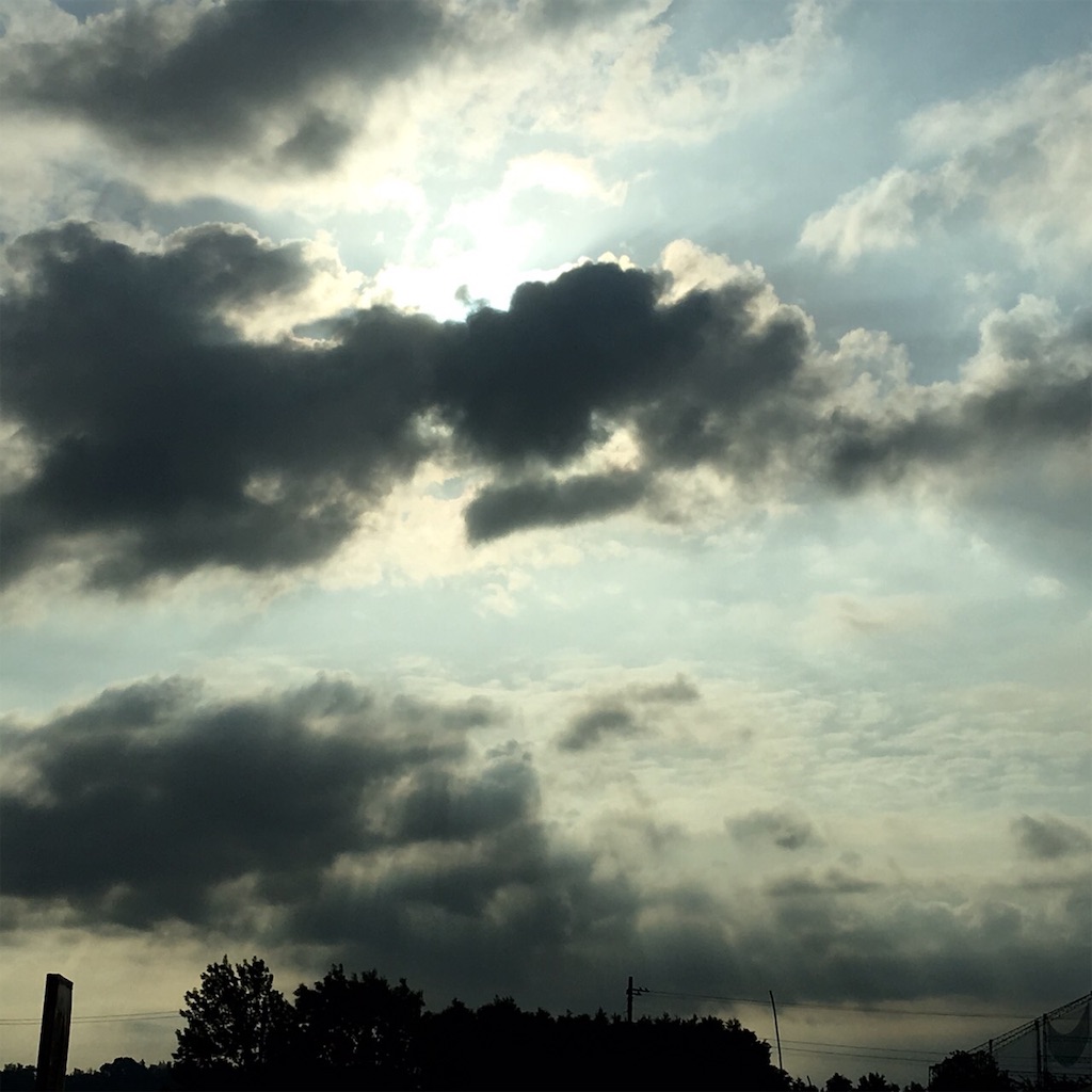 f:id:RURU1234:20190625185407j:image f:id:RURU1234:20190625185407j:image