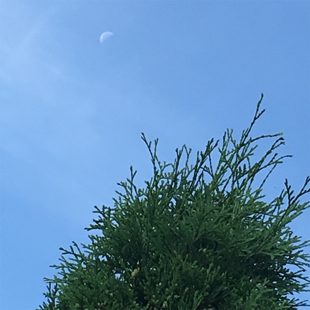 f:id:RURU1234:20190627092645j:image