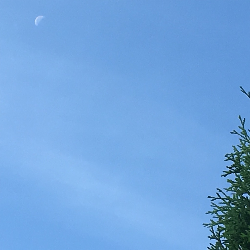 f:id:RURU1234:20190627092840j:image