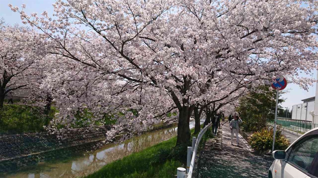 f:id:RURU1234:20190627093606j:image