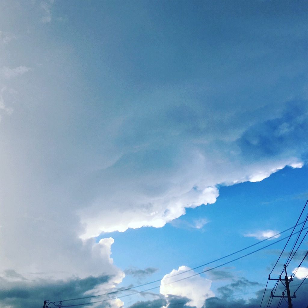 f:id:RURU1234:20190702225620j:image f:id:RURU1234:20190702225620j:image