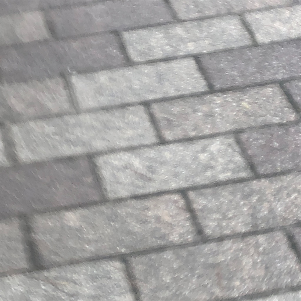 f:id:RURU1234:20190702225756j:image f:id:RURU1234:20190702225756j:image