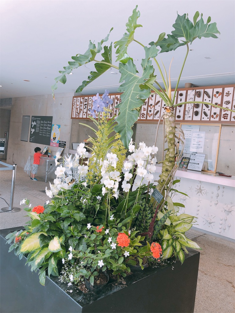 f:id:RURU1234:20191009102817j:image f:id:RURU1234:20191009102817j:image