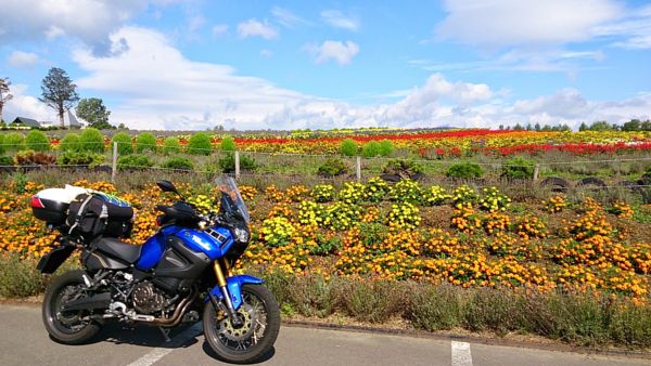 f:id:RX-8:20140813083649j:image f:id:RX-8:20140813083649j:image