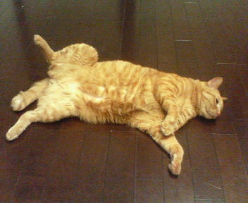 f:id:RYOJI:20090713004242j:image