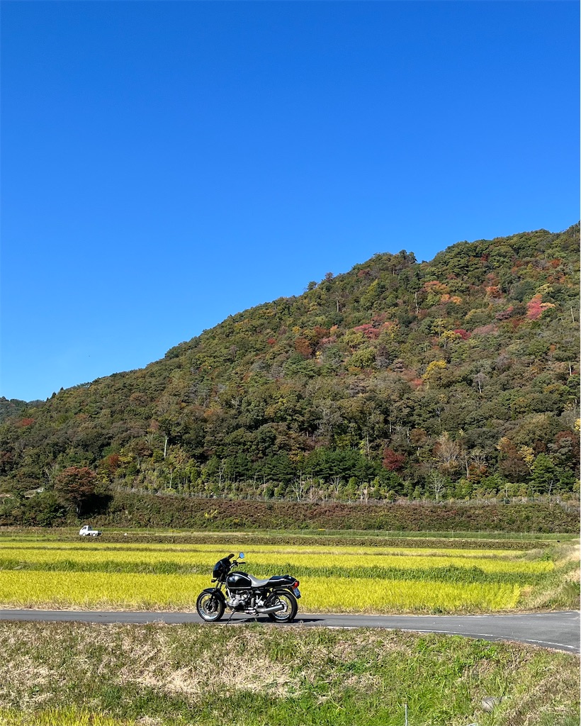 f:id:RYOTAS:20251109133239j:image